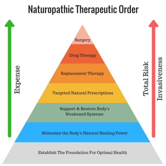 Naturopathic+Therapeutic+Order